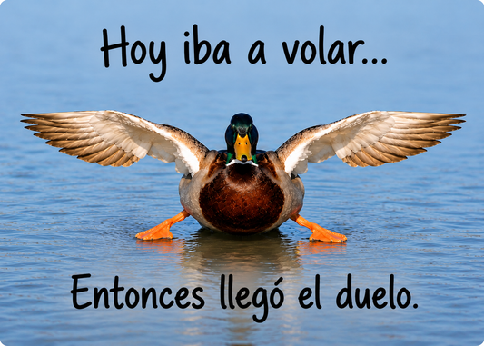Pato caminante – Hoy iba a volar... Entonces llegó el duelo – Imán