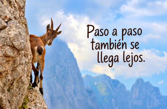 Cabra montés – Paso a paso también se llega lejos – Imán