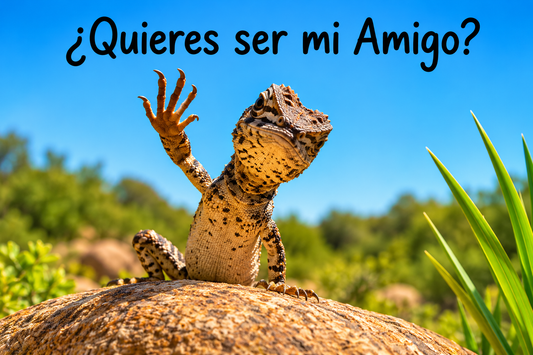 Lagartija amigable – ¿Quieres ser mi amigo? – Imán