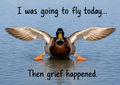 Walking Duck Magnet