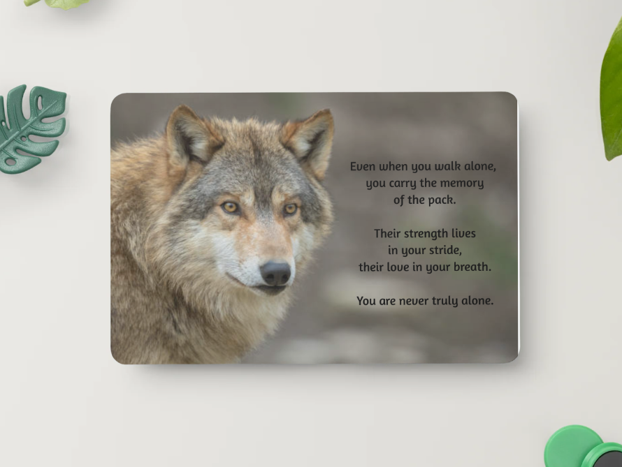 Wolf – You Are Never Truly Alone – Magnet