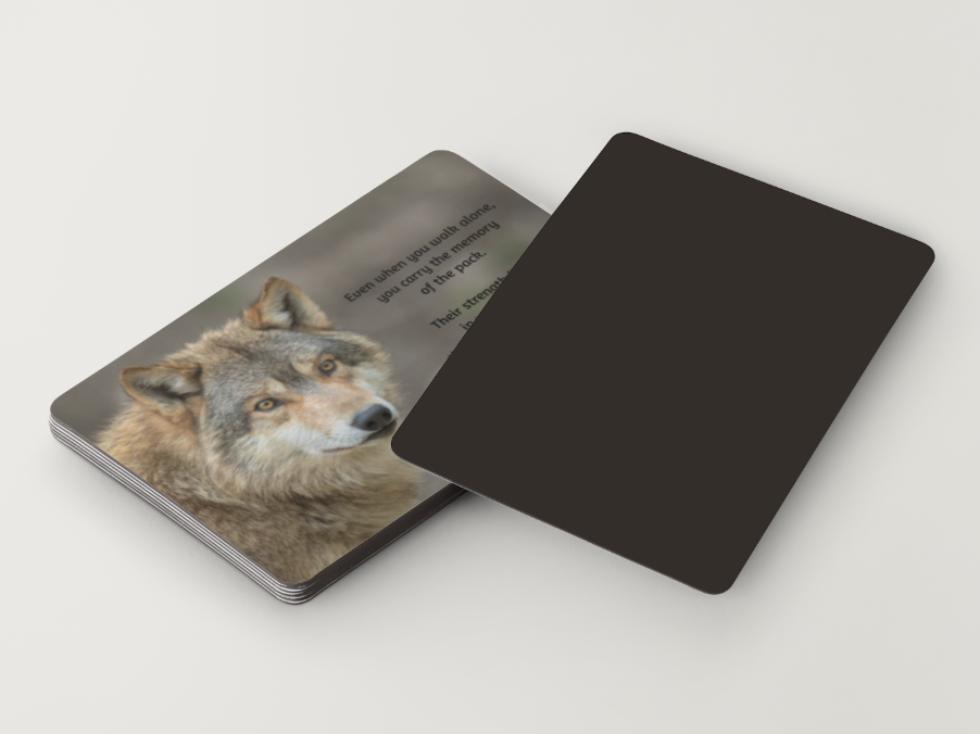 Wolf – You Are Never Truly Alone – Magnet