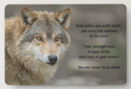 Wolf Magnet