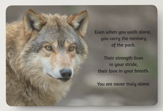 Wolf – You Are Never Truly Alone – Magnet