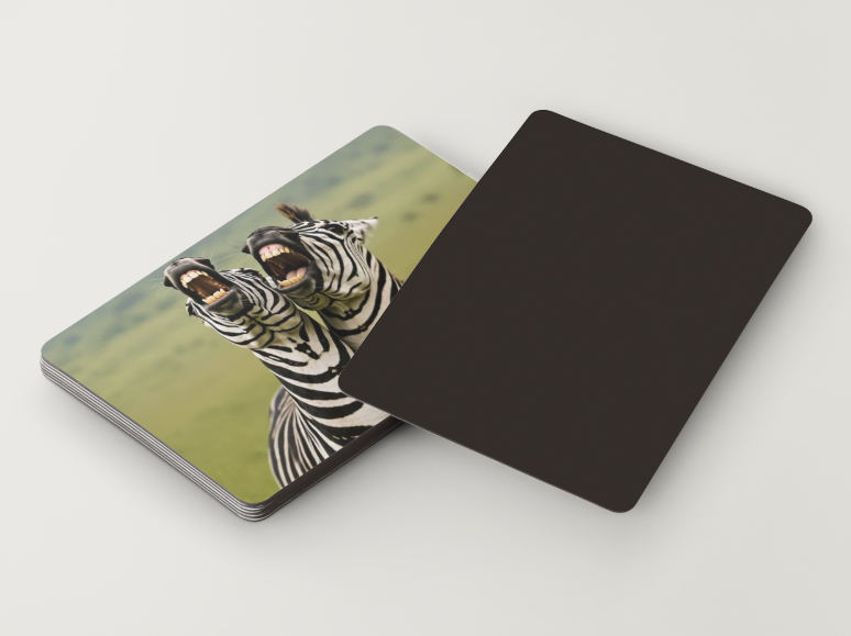 Zebras – It's Okay to Smile Again – Magnet