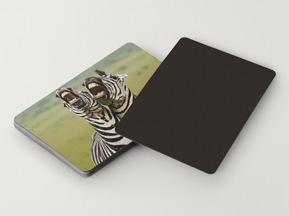 Zebras – It's Okay to Smile Again – Magnet